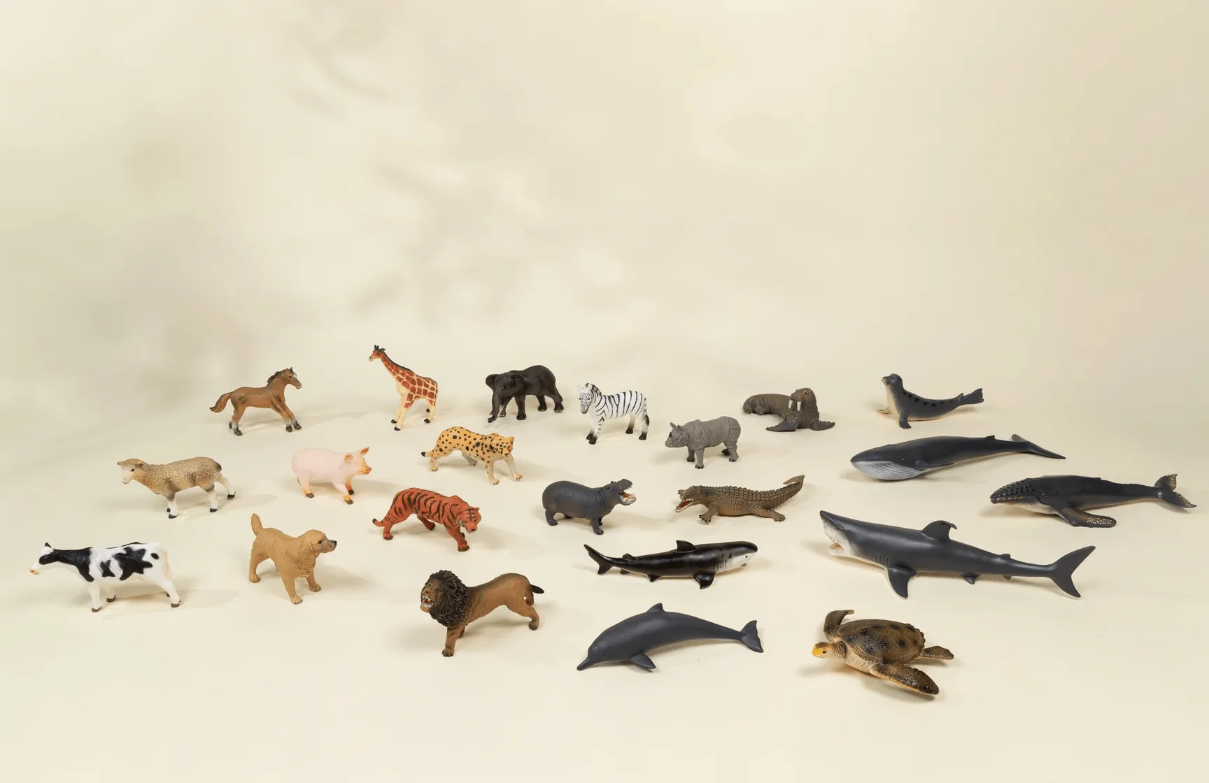 Coco Village Large Sea Life Animal Play Figurine – Dolphin Soap - Image 2